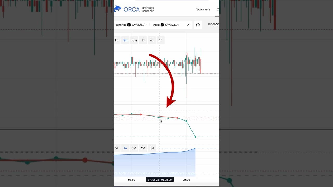 +58 USDT | Арбитраж ставки фондирования
